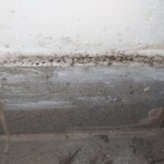 Profesjonalny rzeczoznawca budowlany w Warszawie sporządza ekspertyzy budowlane oraz raporty techniczne dla klientów. Profesjonalny rzeczoznawca budowlany w Warszawie sporządza ekspertyzy budowlane oraz raporty techniczne dla klientów.