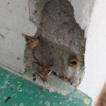 Rzeczoznawca budowlany Warszawa przeprowadza dokładną ocenę usterek, a jednocześnie wspiera decyzje remontowe i inwestycyjne. Rzeczoznawca budowlany Warszawa przeprowadza dokładną ocenę usterek, a jednocześnie wspiera decyzje remontowe i inwestycyjne.